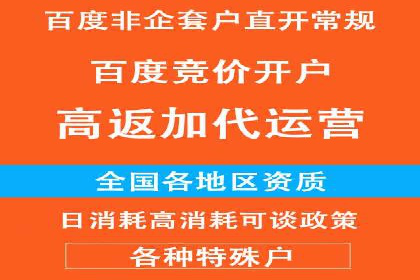 案例解析：揭秘高效竞价推广技巧